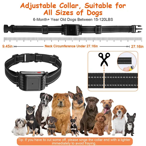 990FT Range Dog Wireless Fence Remote Training Collar IPX6 Waterproof Receiver With 0-9 Levels Beep Vibration Shock Mode 4 Channels Rechargeable Transmitter System