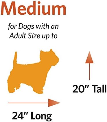 Skudo by MidWest 27-Inch Travel Carrier, Gray, Fits Pets up to 30 lbs | Hard-Sided Pet Carrier, Travel Crate with Handle, Ventilated Design, Locking Tabs, Easy Assembly