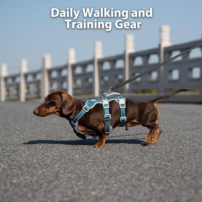 Escape Proof Dog Harness, Escape Artist Harness, Fully Reflective Harness with Padded Handle, Breathable,Durable, Adjustable Vest for Medium Dogs Walking, Training, and Running Gear (Teal,XS)