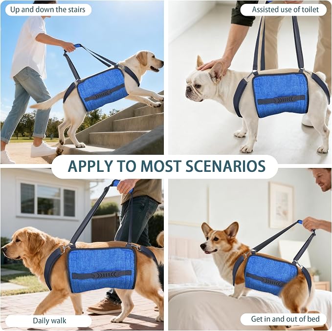 Adjustable Dog Lift Harness, Dog Carry Sling Provides Rear Leg Support for Senior Dogs, Arthritis and After ACL Surgery Dogs,Suitable for Medium to Large Dogs,Blue XXL