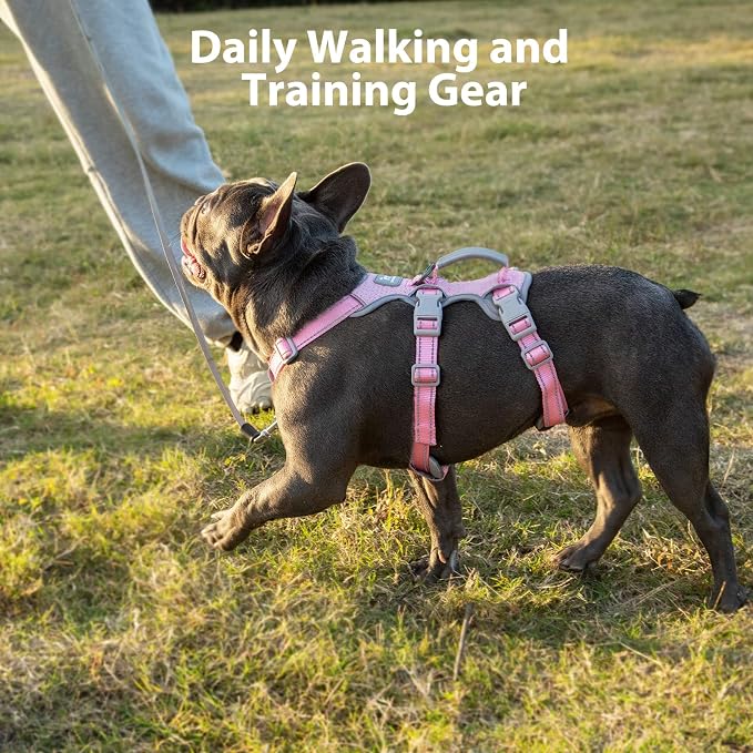 No Escape Dog Harness, Escape Proof Harness, Fully Reflective Harness with Padded Handle, Breathable,Durable, Adjustable Vest for Small Dogs Walking, Training, and Running Gear(Pink,S