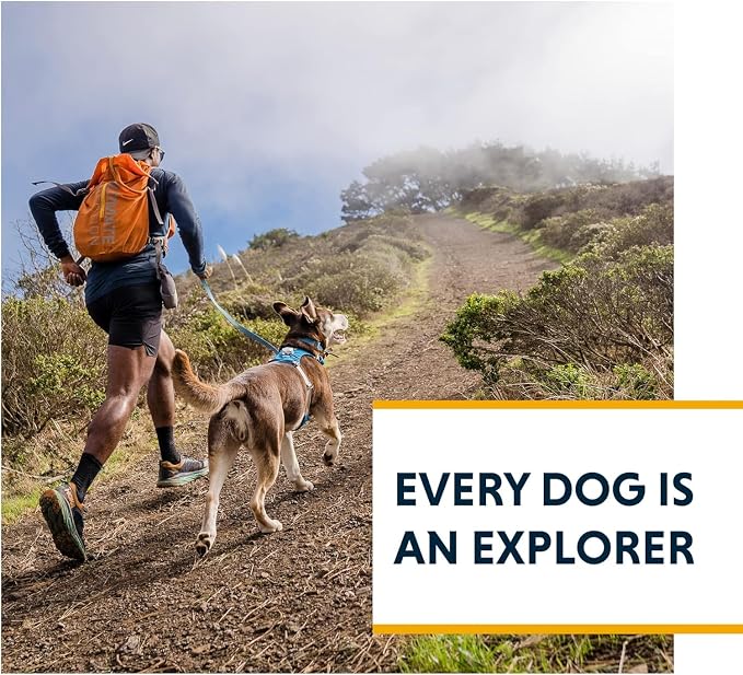 Ruffwear, Hi & Light, Everyday Lightweight Dog Harness, Trail Running, Walking, Hiking, All-Day Wear, Lichen Green, Small
