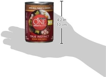 Purina ONE High Protein Wet Dog Food True Instinct Tender Cuts in Dog Food Gravy With Real Turkey and Venison - (Pack of 12) 13 oz. Cans