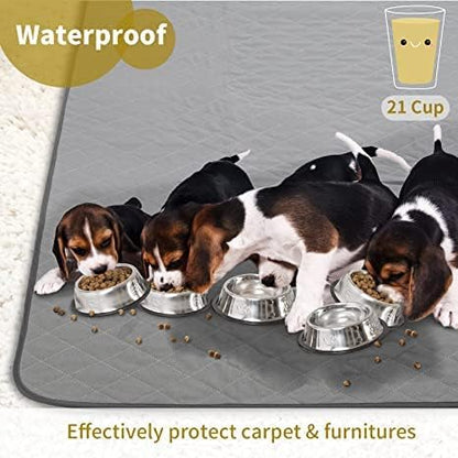 CoolShields Washable Pee Pads for Dogs, 48'' x 65'', Grey, 1 Pack | Ultra-Absorbent, Reusable Waterproof Puppy Training Pad for Crate & Carpet, Fits 24''high 6-panel Playpens.