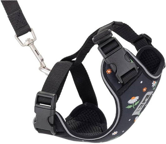 RC Pets Adventure Kitty Cat Harness | Adjustable Airmesh Vest with D-Ring and 6ft Leash for Walking and Travel | Daisies, Small