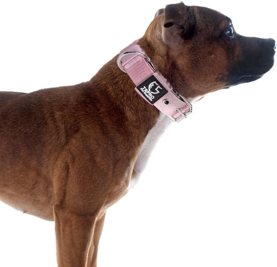TSPRO Tactical Dog Collar 1.25 Inch Wide Thick Dog Collars with Heavy Duty Metal Buckle, Durable, Strong, Adjustable for Small Dogs (Pink S)