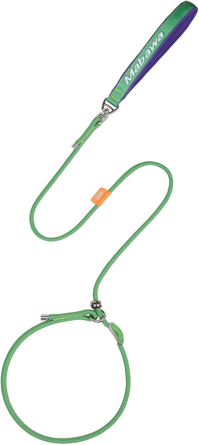 Dog Anti-Slip Leash 5FT with Metal Stopper - Durable No-Pull Training Lead for Small, Medium & Large Dogs - Comfortable Handle Nylon Rope, Tangle-Free Pet Walking Leash (Green, 5.6FT)