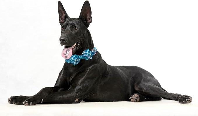 Maca Bates Plaid Blue Dog Collar with Checkered Bow Bowtie for Grid Dogs Bows Tie Adjustable Breakaway Collars Birthday Gift Colar for Small Medium Large XL Girl Boy Male Female Puppy Pets