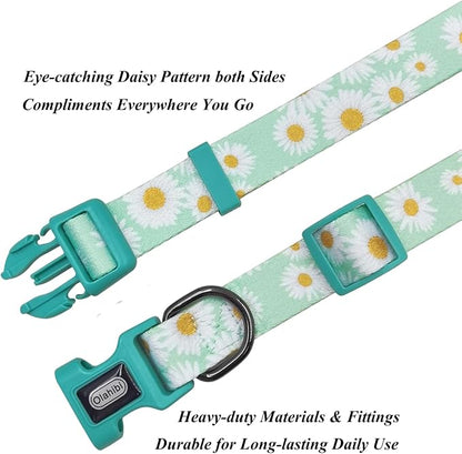 Dog Collar Leash Set, Floral Pattern, Polyester Material, Adjustable Collar and 5ft Matchcing Leash, for Puppy Dogs.(XS, Light Green Daisy)