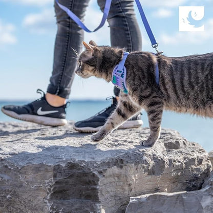 RC Pets Adventure Kitty Cat Harness | Adjustable Airmesh Vest with D-Ring and 6ft Leash for Walking and Travel | Lil Heart, Large