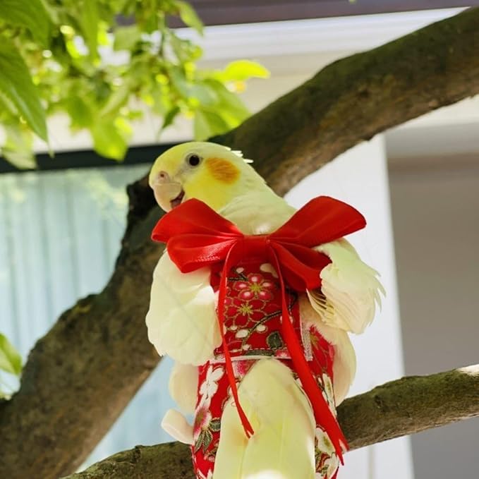 Bird Diaper Parrot Washable Diapers, Parrot Flight Suit, Reusable Nappies for Parakeet Cockatiel Mini Macaw Budgie Conure Lovebird (Beige,S)