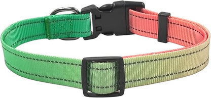Dog Collar Leash Set, Gradient Color, with Safety Reflective Strips, 5 ft Matching Leash, Neoprene Padded Handle, Adjustable 4 Sizes for Small Medium Large Dogs.(M, Green Orange)