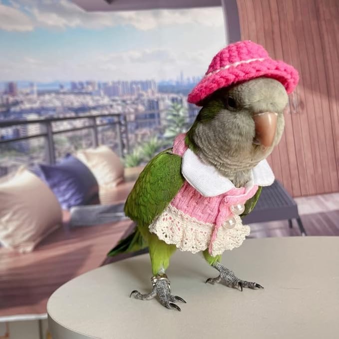 Bird Diaper Flight Suit - Pink Top Bird Clothes Cosplay Photo Prop for Parrots, Lovebirds, Parakeets, Cockatiels & Small Animals (Senegal)
