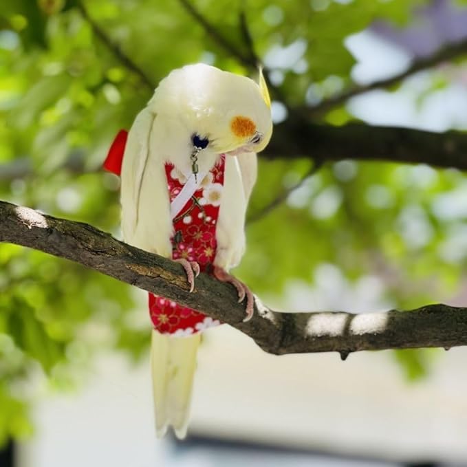 Bird Diaper Parrot Washable Diapers, Parrot Flight Suit, Reusable Nappies for Parakeet Cockatiel Mini Macaw Budgie Conure Lovebird (Beige,M)