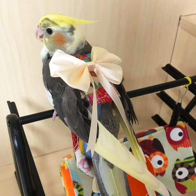 Bird Flight Suits Diapers, Parrot Flight Suits Diapers for Quaker Parakeets Cockatiels Flight Suits, Parrot Clothes (Almond B,2M)