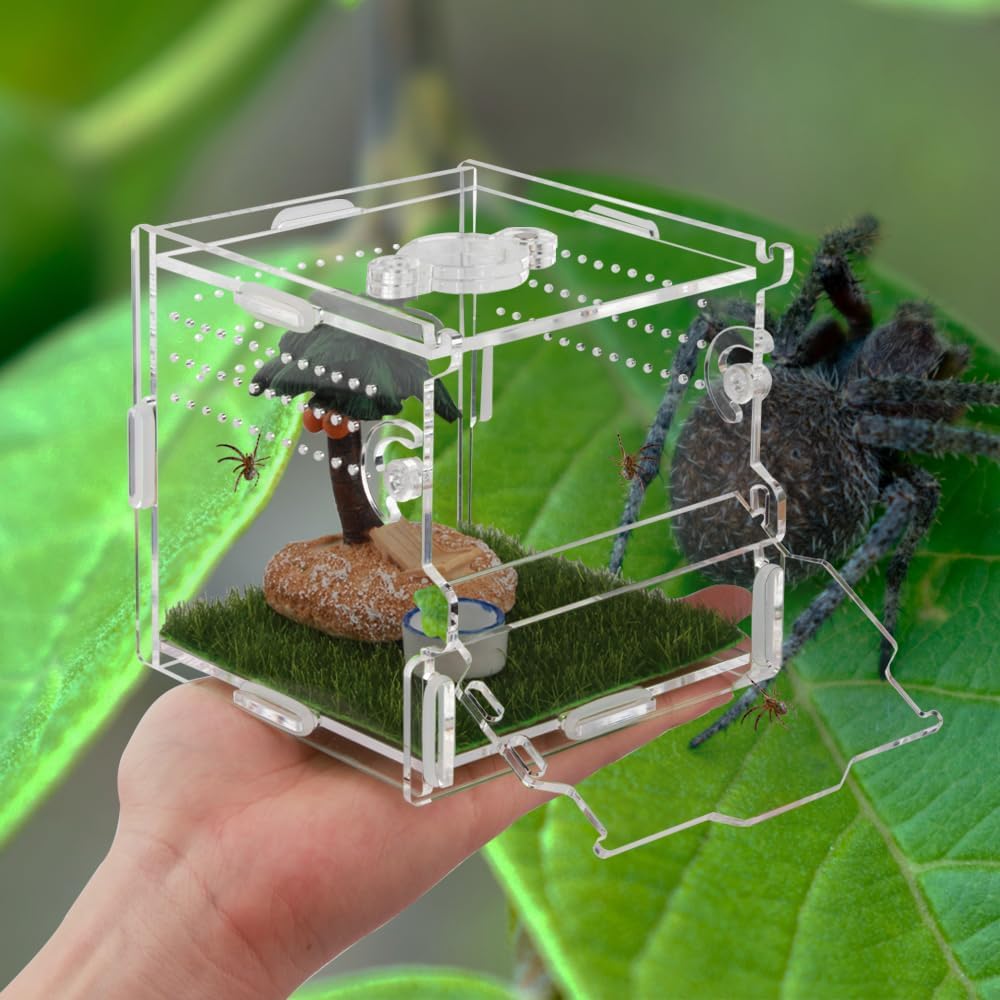 Reptile Terrarium,Tarantula Enclosure,Jumping Spider Enclosure for Tarantula Scorpion Sling Isopods Snail Reptile Invertebrates Accessories（4" X4 X4 ）