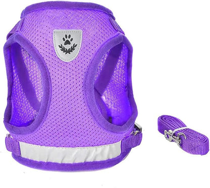 FEimaX Dog Harness and Leash Set for Walking, Soft Mesh Adjustable Easy Control Lightweight Cat Vest Harnesses with Reflective Strips, Escape Proof Small Dogs Cats Vests