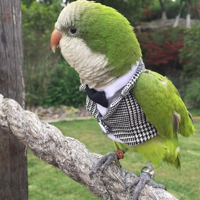 Bird Clothes Birds Flight Suit,Tuxedo Business Suit for Parrots African Greys Parakeet Cockatiel Sun Conure Christmas Party Birthday Cosplay Photo Prop Small Animals Apparel (2XL,Grid Suit)