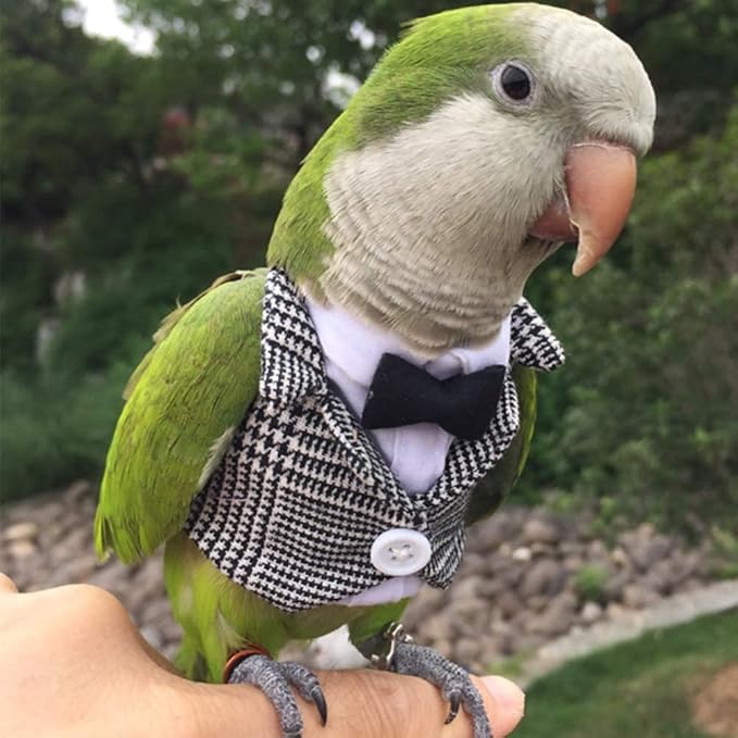 Bird Clothes Birds Flight Suit,Tuxedo Business Suit for Parrots African Greys Parakeet Cockatiel Sun Conure Christmas Party Birthday Cosplay Photo Prop Small Animals Apparel (2XL,Grid Suit)