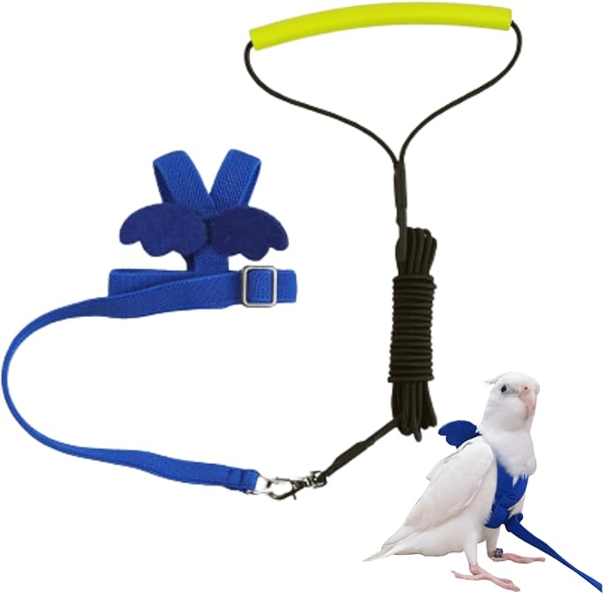 Pet Parrot Bird Harness and Leash, Adjustable Training Design Anti-Bite, Bird Nylon Rope with Cute Wing for Lovebird Budgie African Grey Macaw Conure (Blue,2XL)