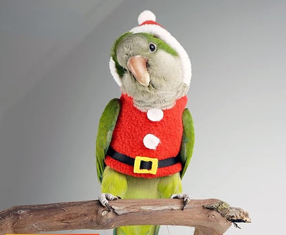 Bird Clothes Birds Flight Suit, Christmas Hoodie for Parrots Cockatiel Sun Conure Christmas Party Cosplay Photo Prop Bird Shirt Small Animals Apparel (with Diaper,Amazon)