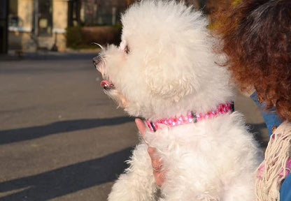 Dog Collar - Adjustable Heart Dog Collar - Love Theme - Perfect for Small Medium Large Dogs(Pink Heart,S)