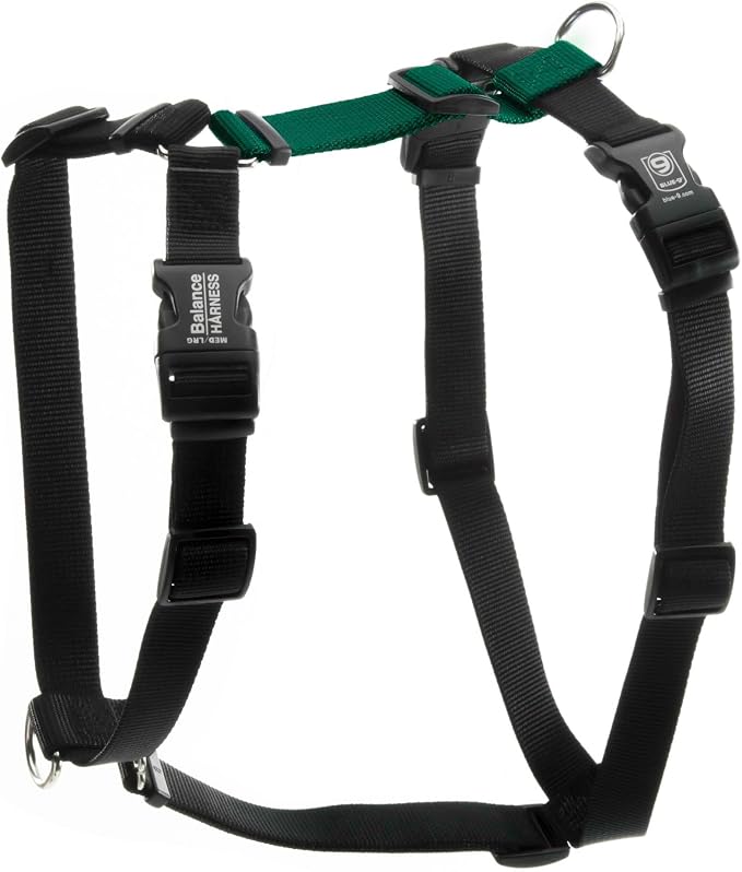 Blue-9 Buckle-Neck Balance Harness, Fully Customizable Fit No-Pull Harness, Ideal for Dog Training and Obedience, Made in The USA, Hunter Green, M/L