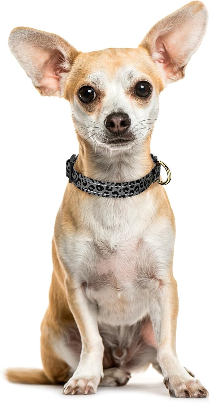 Reflective Dog Collar for Extra Small Dogs Cats, Cute Leopard Style Adjustable Heavy-Duty Nylon Puppy Collar for Boy and Girl Female, Soft Pet Accessories with Quick Release Buckle, Gray