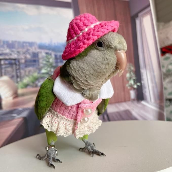 Bird Diaper Flight Suit - Pink Top Bird Clothes Cosplay Photo Prop for Parrots, Lovebirds, Parakeets, Cockatiels & Small Animals (Green Quaker)