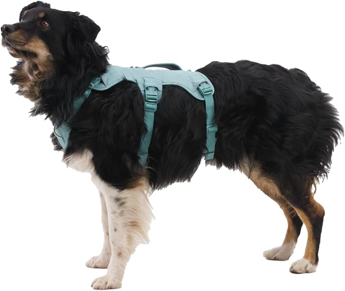 Ruffwear, Web Master, Multi-Use Support Dog Harness, Hiking and Trail Running, Service and Working, Everyday Wear, Basalt Gray, Large/X-Large