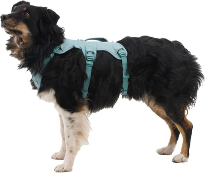 Ruffwear, Web Master, Multi-Use Support Dog Harness, Hiking and Trail Running, Service and Working, Everyday Wear, Blaze Orange, Large/X-Large