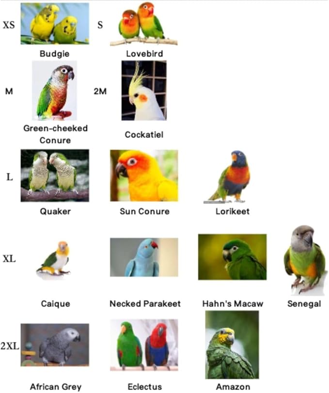 Pet Parrot Bird Harness and Leash, Adjustable Training Design Anti-Bite, Bird Nylon Rope with Cute Wing for Lovebird Budgie African Grey Macaw Conure (Light Blue,Sulphur-Crested Cockatoo)
