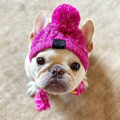 Winter Dog Hat,Knitting Wool Cap,Warm Pet Head Wear with Long Braid Puppy’s Head Accessorie (Purple M)