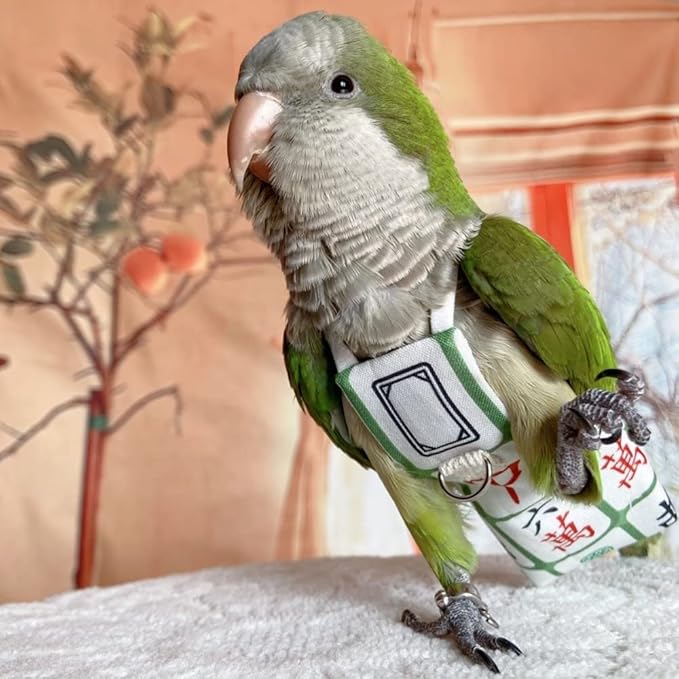 Bird Diaper Harness Flight Suit Clothes, Parrot Flight Suit with Leash for Parrot, Bird Flying Clothes with Rope and Handle for Outdoor Activities Training (with Leash,Green-cheeked Conure)