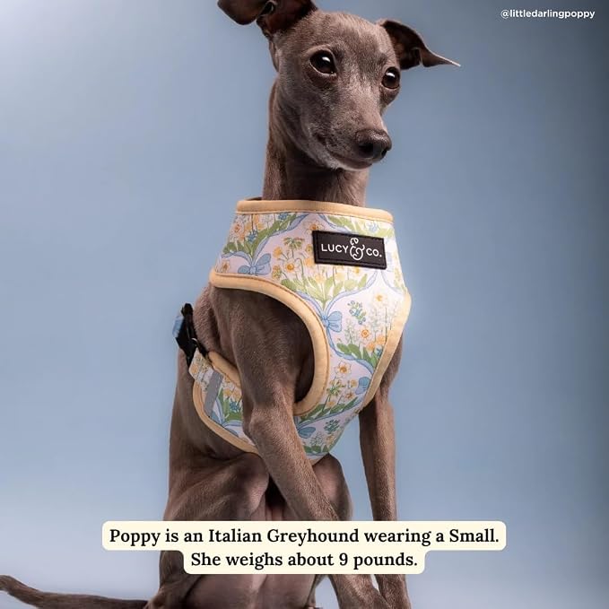 Lucy & Co. Reversible Dog Harness - Water-Repellent Neoprene, Dual-Print Design, Easy Swap Style, Adjustable Comfort Fit - Sunshine Daffodils Reversible Harness - Small