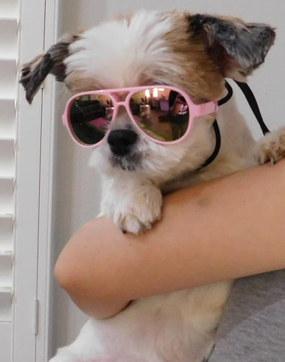 G029 Dog Cat Pet Aviator Sunglasses Glasses for Small Breeds up to 15lbs (Pink-Pink Mirror)