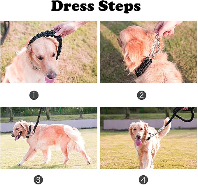 Love Dream Dog Collar and Leash Set, Heavy Duty Nylon Braided Rope Strong 4 FT Dog Leash and Martingale Training Collar for Small Medium Large Dogs Training and Walking (Purple & Pink)