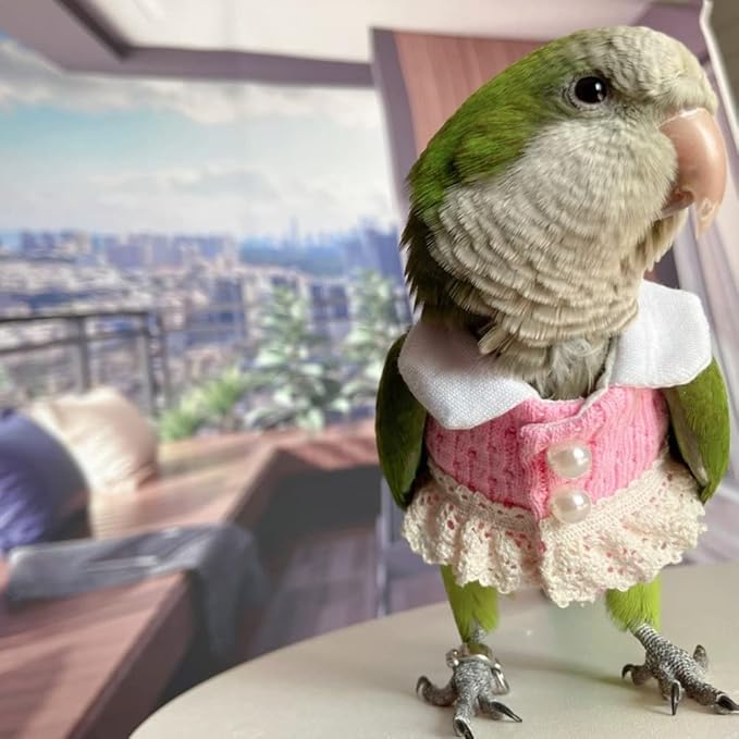 Eclectus Bird Diaper Flight Suit - Pink Top Cosplay Photo Prop for Parrots, Lovebirds, Parakeets & Cockatiels