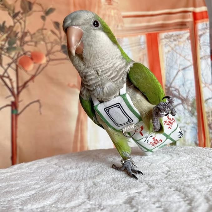 Bird Diaper Harness Flight Suit Clothes, Parrot Flight Suit with Leash for Parrot, Bird Flying Clothes with Rope and Handle for Outdoor Activities Training (with Leash,Common Hill Myna)