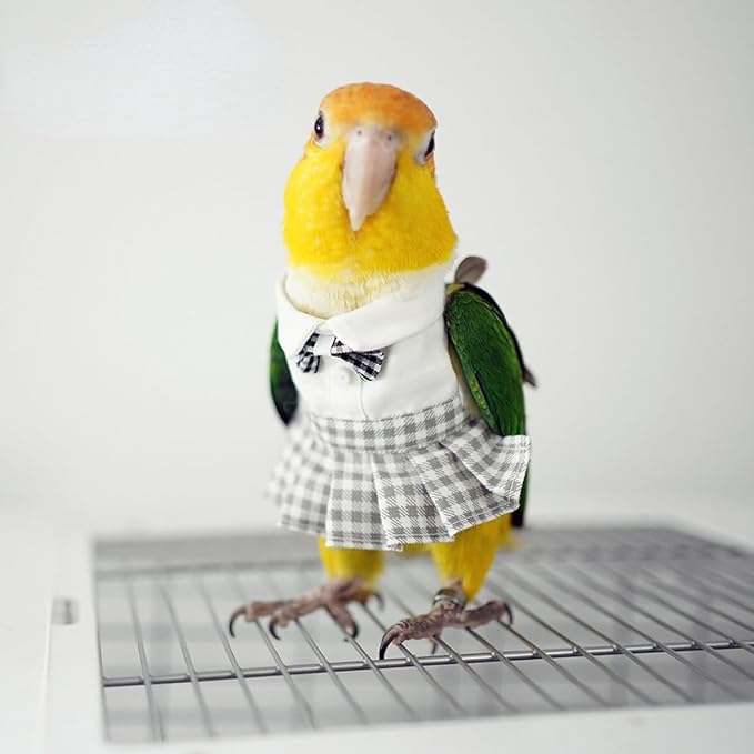 Bird Costume Bird Diaper Flight Suit Cute JK Dress Dress Skirt Clothes Cosplay Photo Prop for Parrots Macaw Cockatoo (with Diaper,2M)