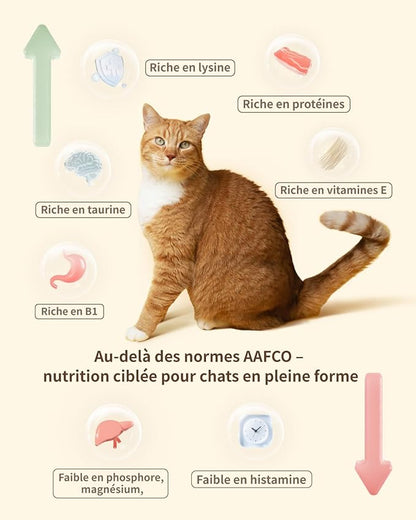 Freeze-Dried Cat Food, 97% Animal Origin Soft Dry Food for Cats Kitten, High Protein Healthy Freeze Dried Cats Raw Treat & Topper (Chicken & Duck - 14 Ounce)