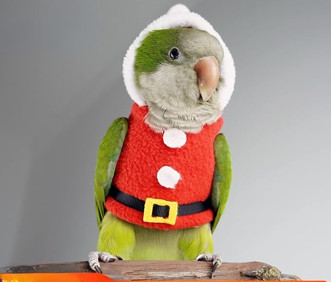 Bird Clothes Birds Flight Suit, Christmas Hoodie for Parrots Cockatiel Sun Conure Christmas Party Cosplay Photo Prop Bird Shirt Small Animals Apparel (Without Diaper,Budgie)