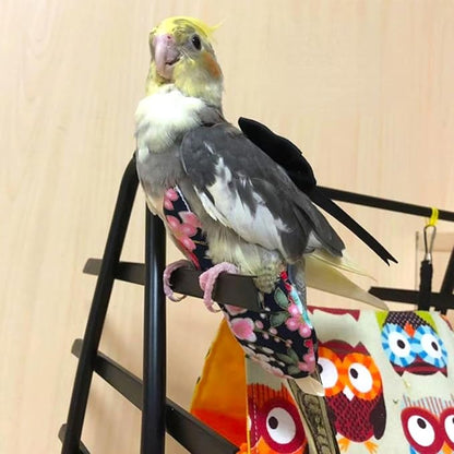 Bird Flight Suits Diapers, Parrot Flight Suits Diapers for Quaker Parakeets Cockatiels Flight Suits, Parrot Clothes (Almond B,2M)
