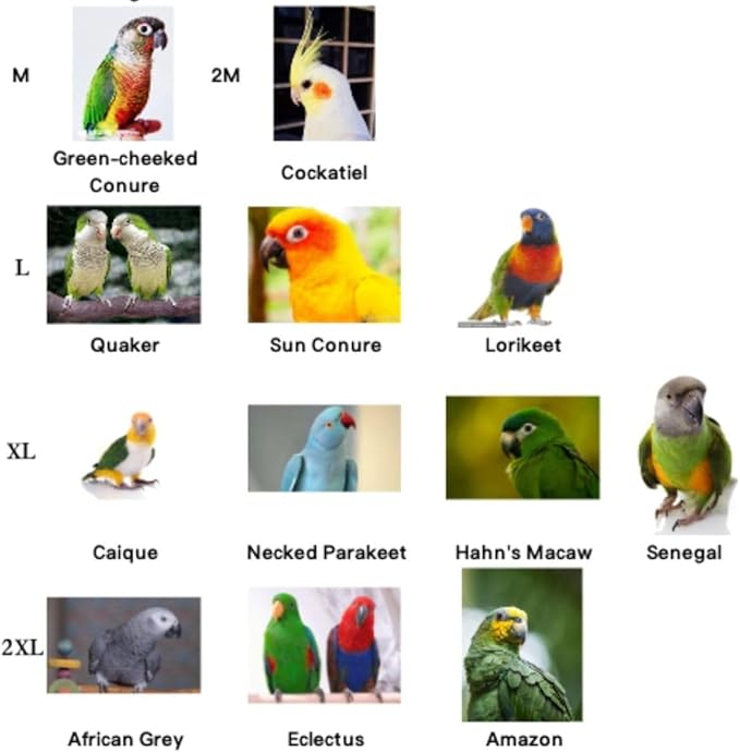 Bird Costume Bird Diaper Flight Suit Cute JK Dress Dress Skirt Clothes Cosplay Photo Prop for Parrots Macaw Cockatoo (Without Diaper,M)