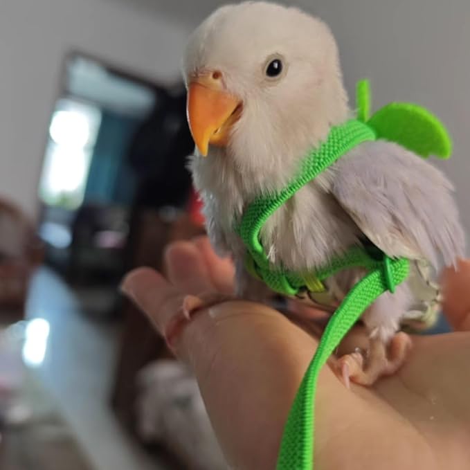 Adjustable Bird Diaper Harness Flight Suit Clothes with 80 Inch Flying Leash Rope for Parrots Conure Cockatiel (Yellow,XL)
