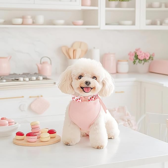 Strawberry Dog Collar for Small Dogs - Adjustable Spring Summer Pink Girl Dog Collars, Cute Girly Female Pet Collar with Metal Buckle S