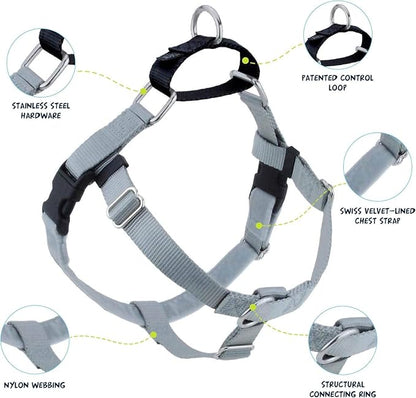 2 Hounds Design Freedom No Pull Dog Harness and Leash, 5/8" SM, Silver | Promotes Easy Walking & Comfortable Control, Secure Fit, Adjustable Harness and Leash Set for Small Sized Dogs, Made in USA
