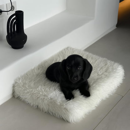 IHAPPYDOG Luxury Faux Fur Orthopedic Dog Beds, Memory Foam Crate Bed for Small, Medium, Large and XL Pets, Fluffy Pet Bed with Waterproof and Washable Cover, Fits Crates (White, 23"x18")