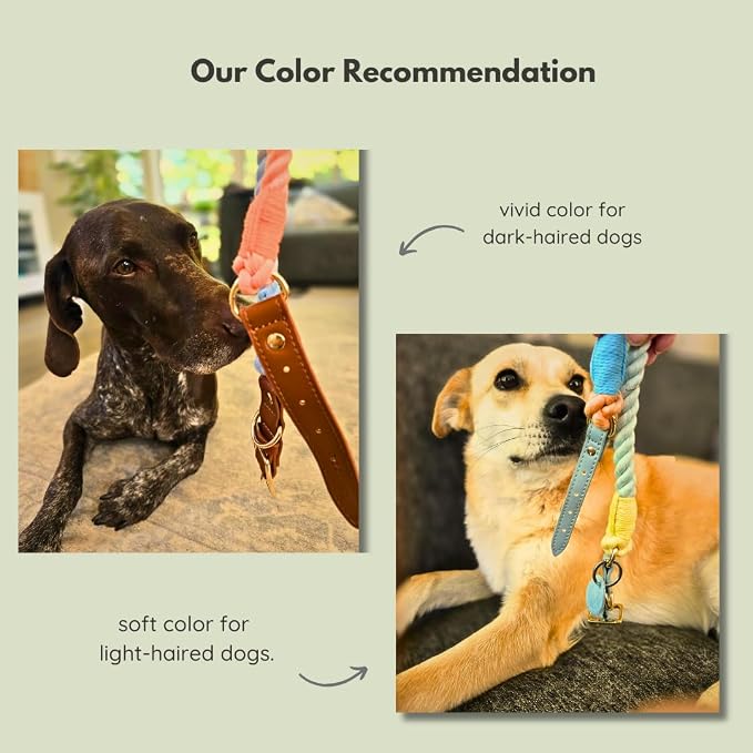 Pawtopia 5FT Dog Leash & Collar Set - Small Dogs, Cotton Braided Rope with Vegan Leather Handle (Brown) with Two Complimentary Rolls of Dog Poop Bags (30 Bags), Durable Clasp (Vivid Rainbow, Small)