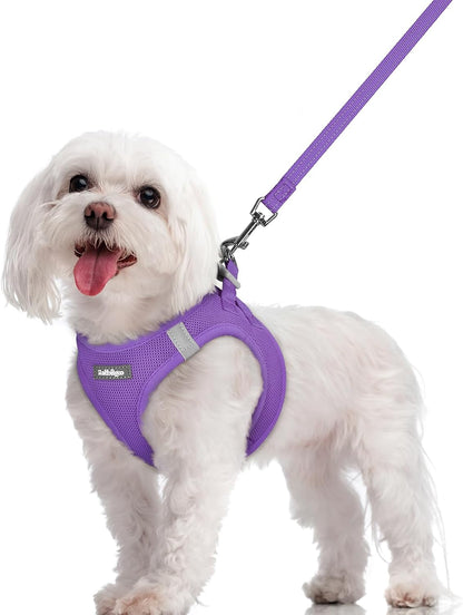 rabbitgoo Dog Harness Small Sized and Leash Set, Step in Soft Light Puppy Vest, Breathable Mesh Pet Harness, Reflective for Safe Outdoor Walking, Purple M